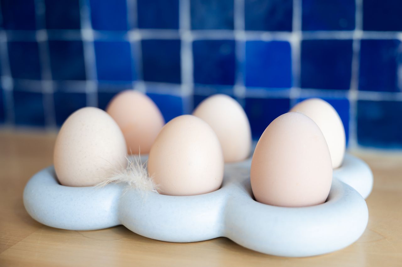 Volledig uitgeruste keuken