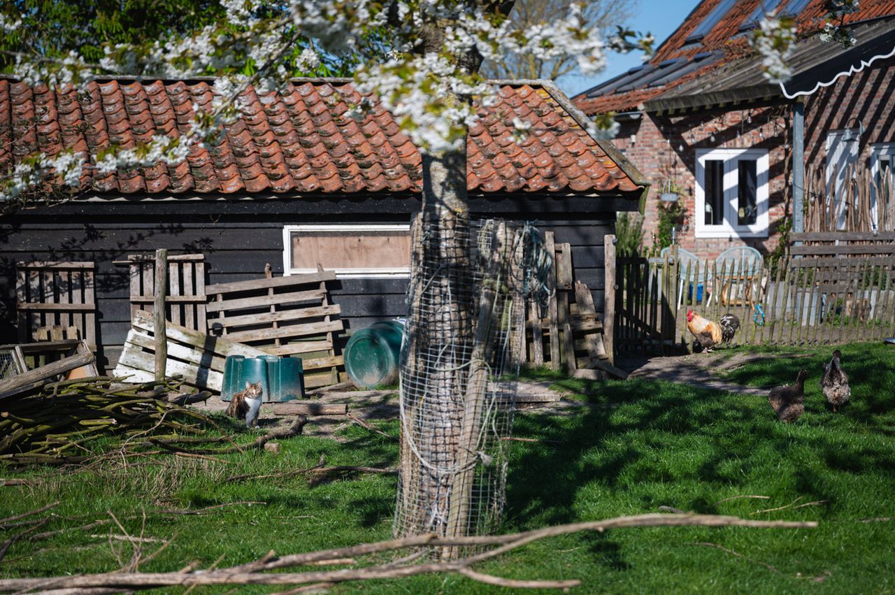 Uitzicht op het Zeeuwse landschap